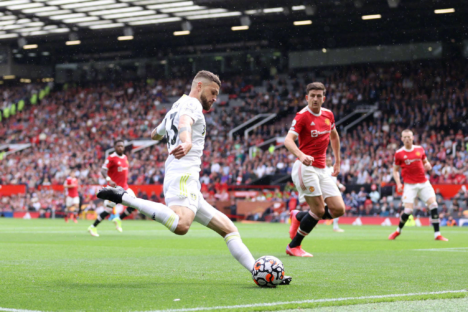 预计他们将 预计他们将